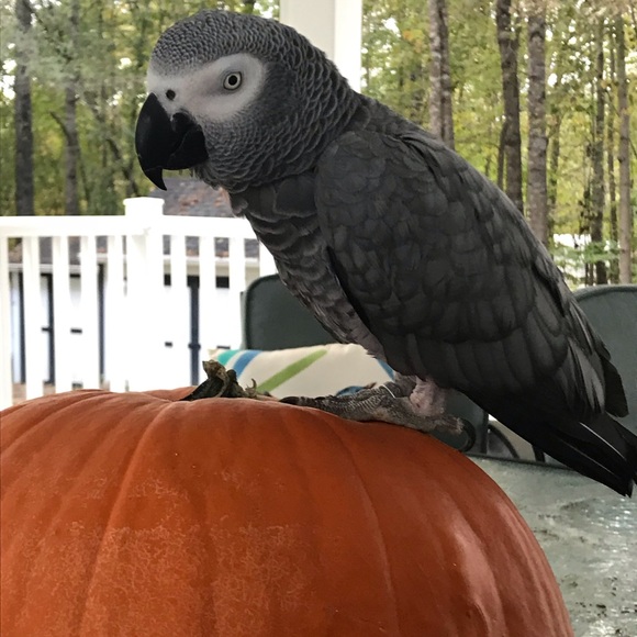 I’m blessed with an awesome family. Gratitude helps me to conquer my hurdles. - Picture 5 of 6